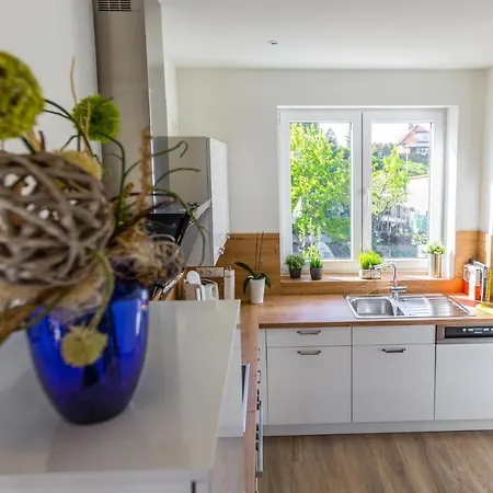 Hangar 19 Luxusapartment Mit Sauna, Kamin Und Seeblick H4w3